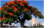 xiamen