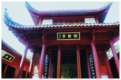 旅游安排