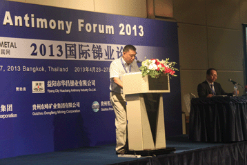 2013國(guó)際銻業(yè)論壇