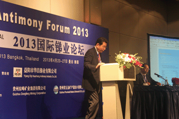 2013國(guó)際銻業(yè)論壇