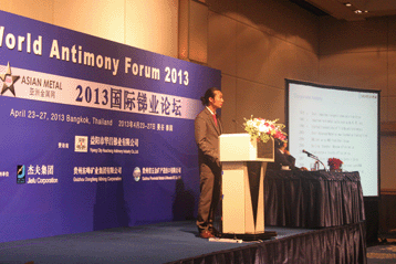 2013國(guó)際銻業(yè)論壇